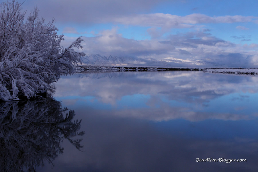 reflection on the bear river migratory bird refuge