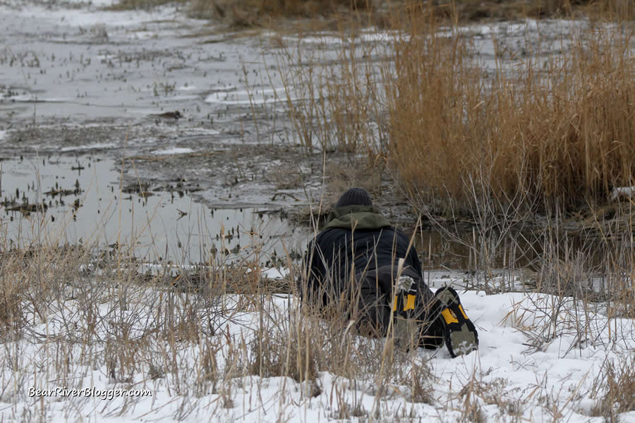 bird photographer laying in the snow