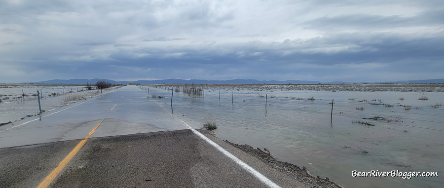 water flooding over Forest Street on the Bear River Migratory Bird Refuge