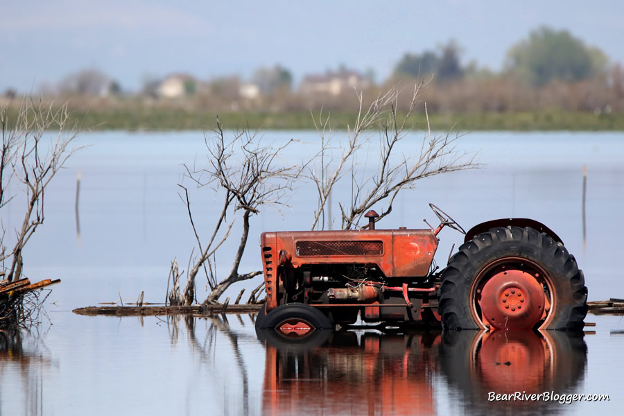 old tractor sitting in the flood waters on forest street near the bear river migratory bird refuge