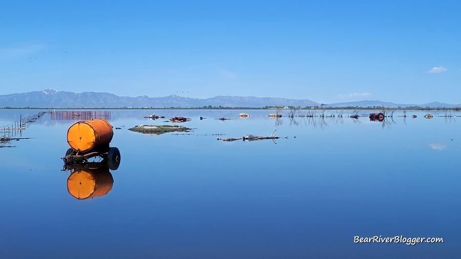 reflection on the smooth flood waters on the bear river