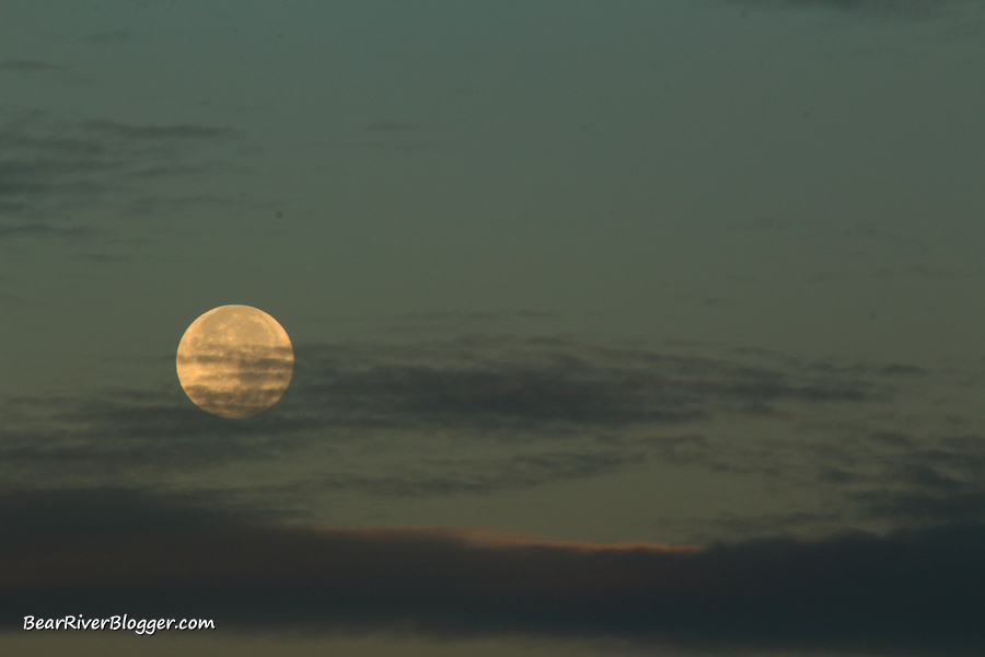 a setting full moon with some clouds in front of it