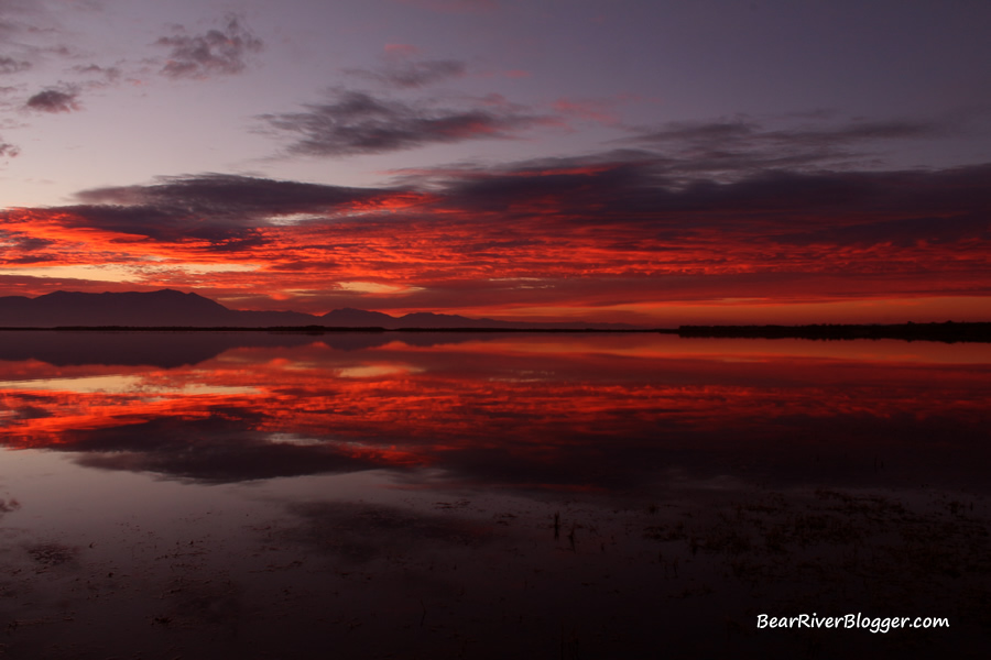a small but colorful sunrise on the bear river migratory bird refuge