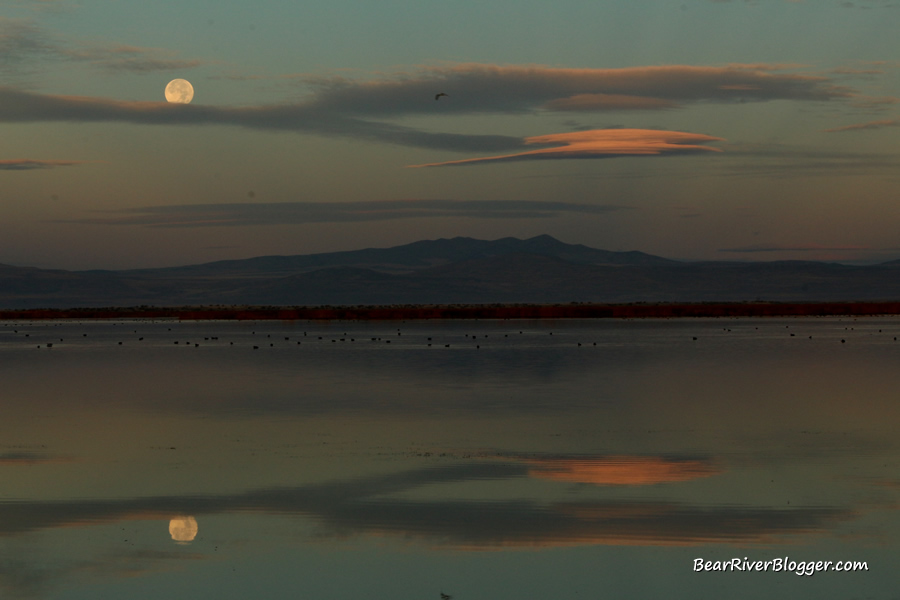 sunrise on the bear river migratory bird refuge with a setting full moon