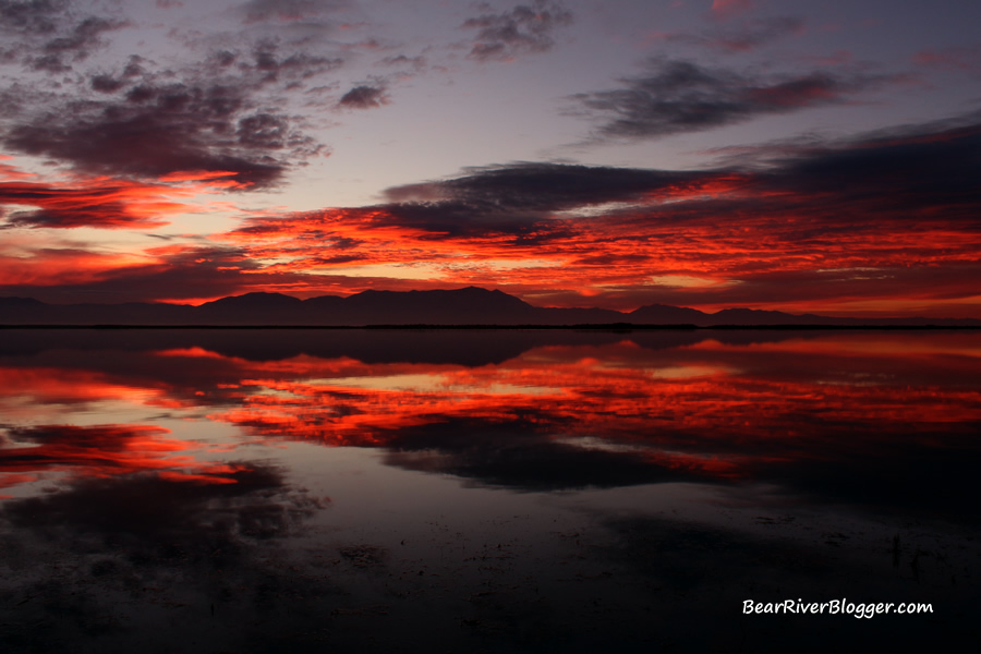 sunrise on the bear river migratory bird refuge