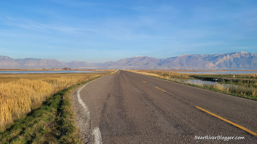 Forest street heading to the bear river migratory bird refuge.