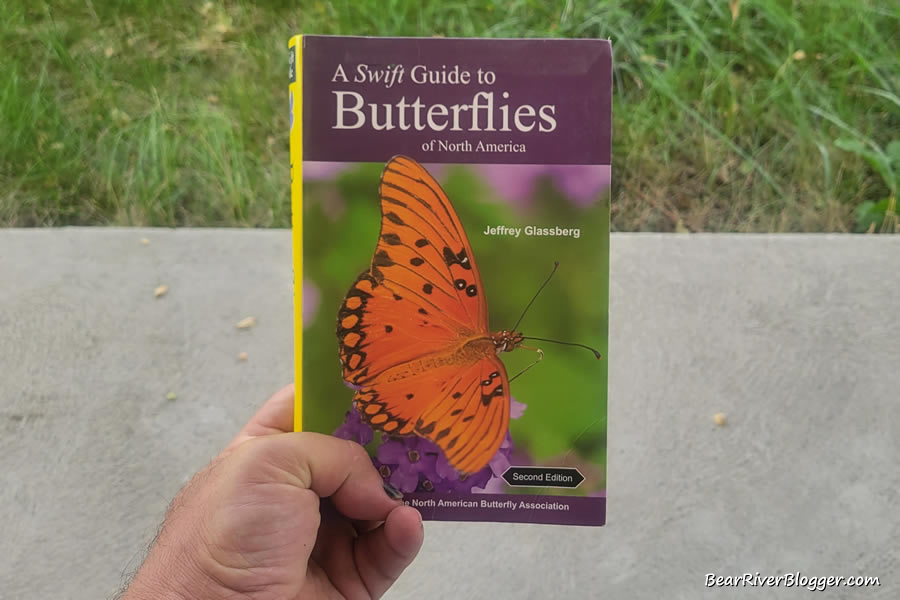 butterfly book, A Swift Guide To Butterflies Of North America by Jeffrey Glassberg