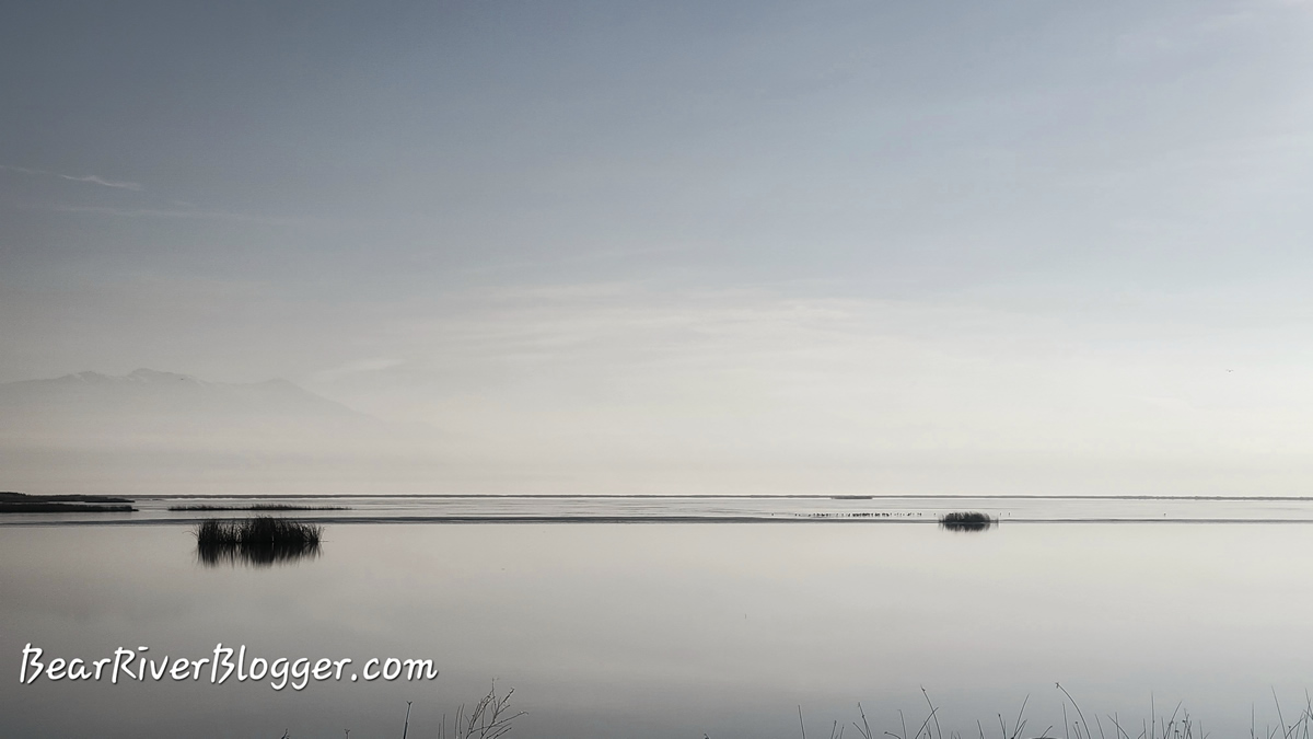 wintery scene on the bear river migratory bird refuge