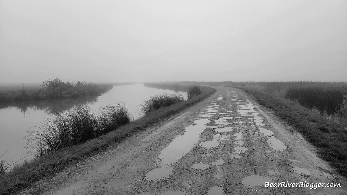 a foggy morning on the bear river migratory bird refuge auto tour route