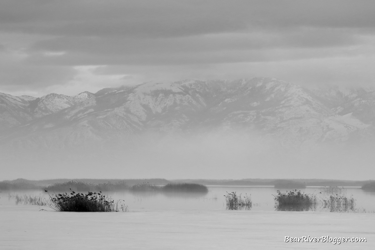 a foggy morning on the bear river migratory bird refuge auto tour route wetlands