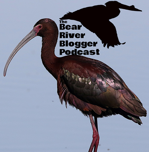 bear river blogger podcast logo