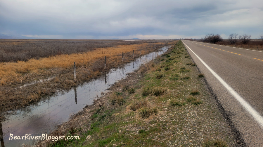 borrow pit on the bear river migratory bird refuge where chorus frogs sing