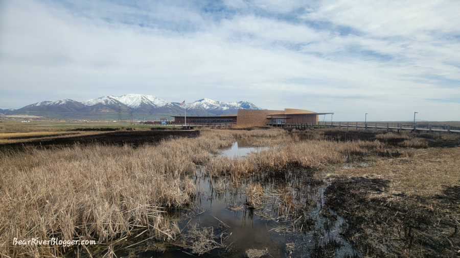 the pond around the bear river migratory bird refuge visitors center just after the 2024 prescribed fire.