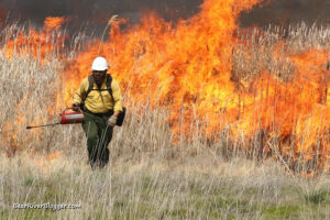 prescribed fire burning at the bear river migratory bird refuge visitors center