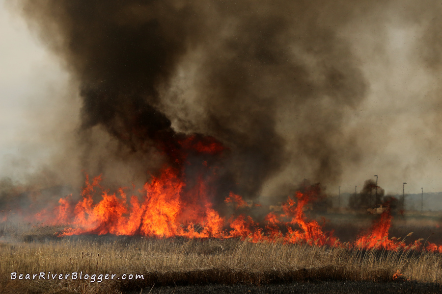 flames and heavy smoke from the bear river migratory bird refuge prescribed fire