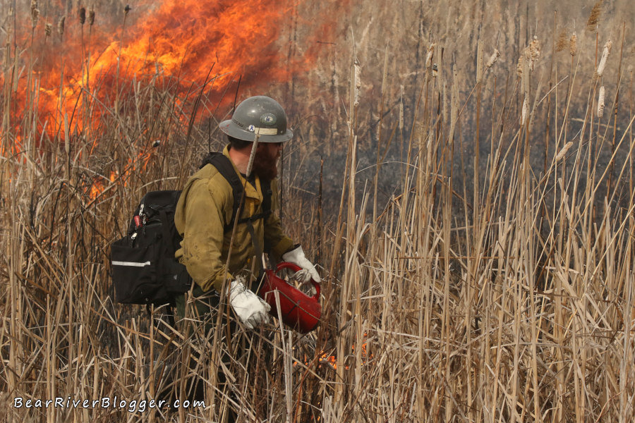 firefighter using a drip can to ignite a prescribed fire on the bear river migratory bird refuge