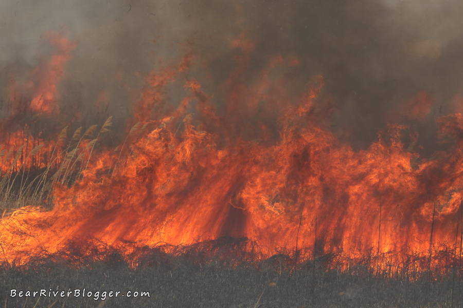 large flames from the bear river migratory bird refuge prescribed fire