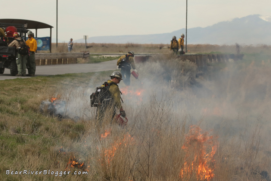 several firefighters setting a prescribed fire on the bear river migratory bird refuge