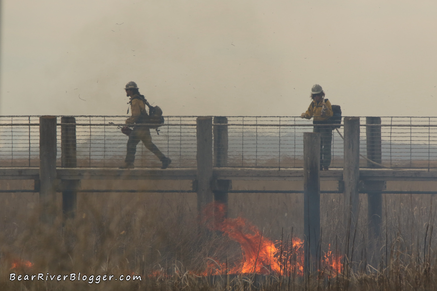 firefighters watching a control burn on the bear river migratory bird refuge