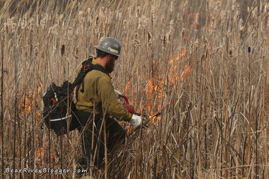 firefighter setting a prescribed fire on the bear river migratory bird refuge.