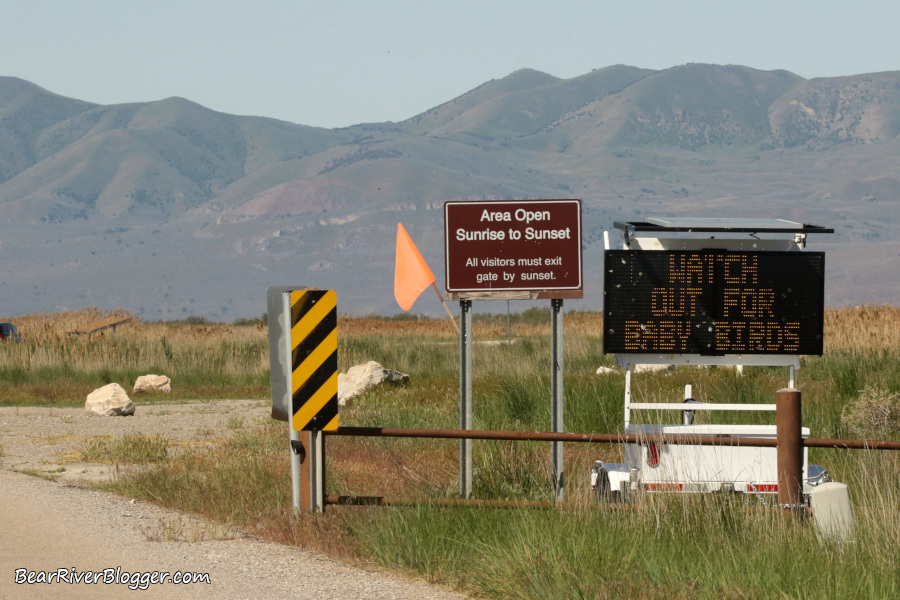 A sign depicting "watch out for baby birds" at the start of the Bear River Migratory Bird Refuge auto tour route.