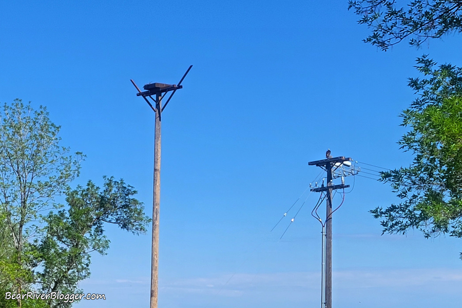 Osprey nesting platform in Brigham City, Utah.