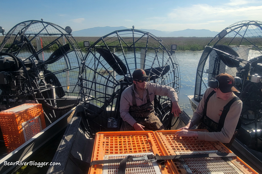 Wildlife personnel in airboats getting ready to capture, tag, and release Canada geese on Ogden Bay.