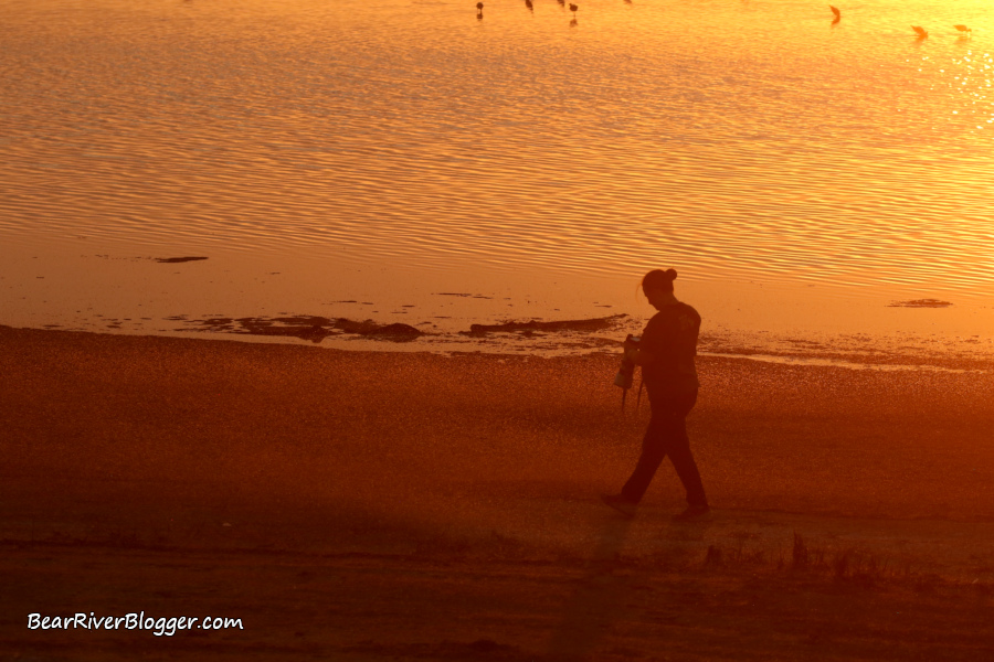 photographer walking the Great Sale Lake shoreline right a sunset.