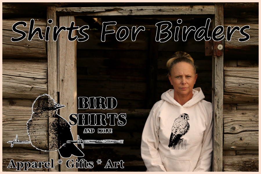 Bird Shirts and More yellow American kestrel hooded sweatshirt.