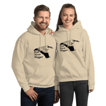 bear river blogger unisex pelican hoodie