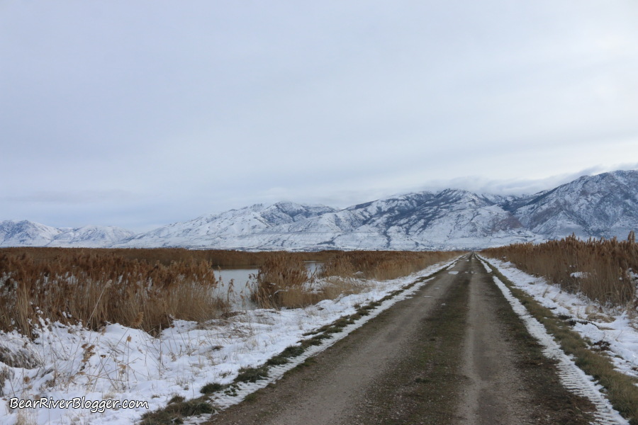 bear river migratory bird refuge temporary auto tour route