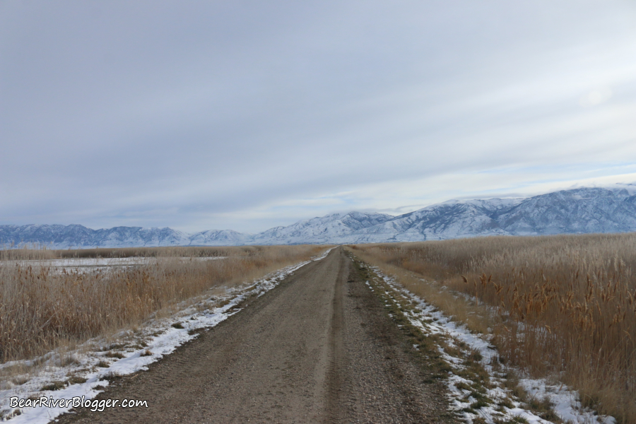 bear river migratory bird refuge temporary auto tour route