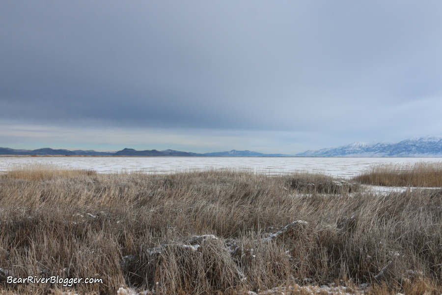 temporary auto tour route on the bear river migratory bird refuge