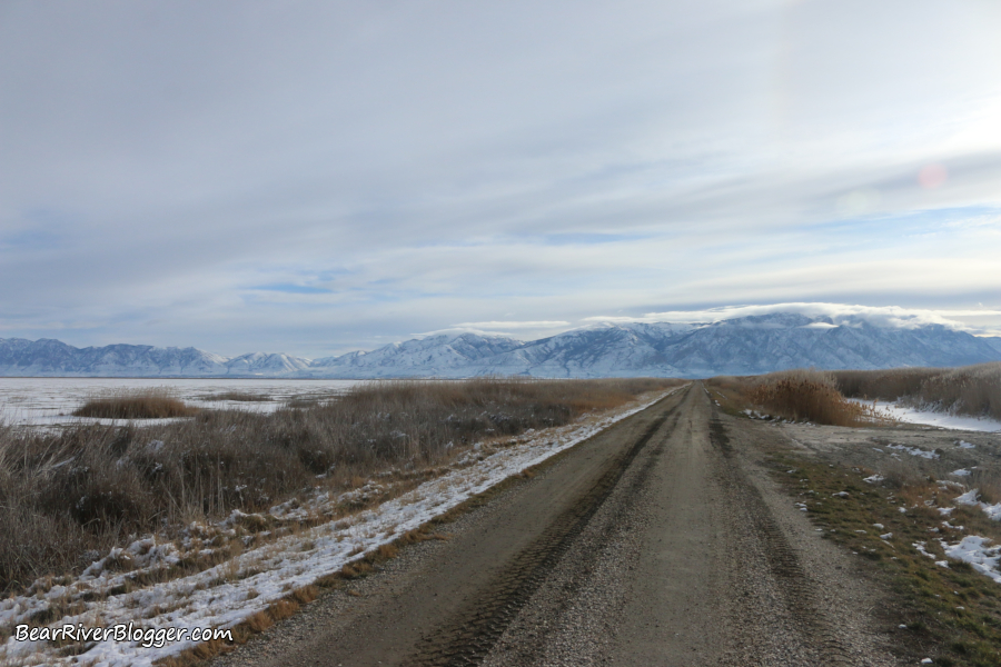 view from the temporary auto tour route on the bear river migratory bird refuge