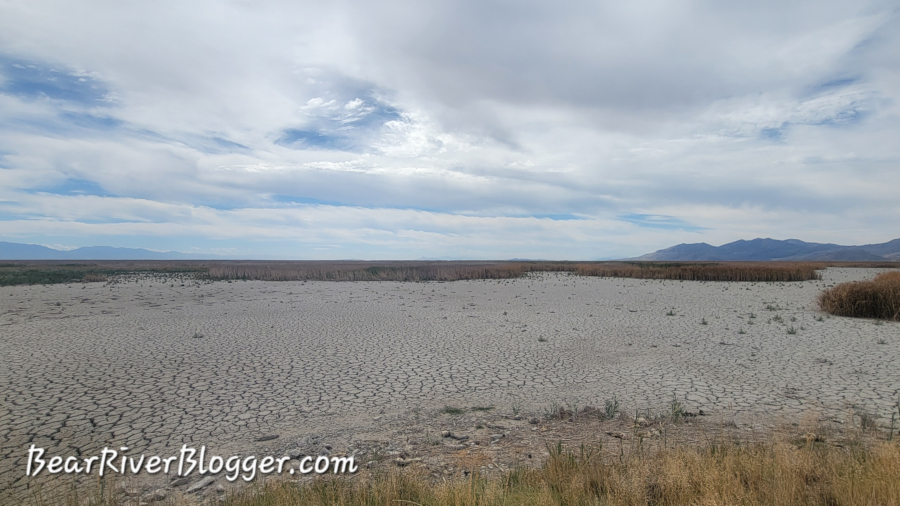 A dry portion of the Bear River Migratory Bird Refuge auto tour route.