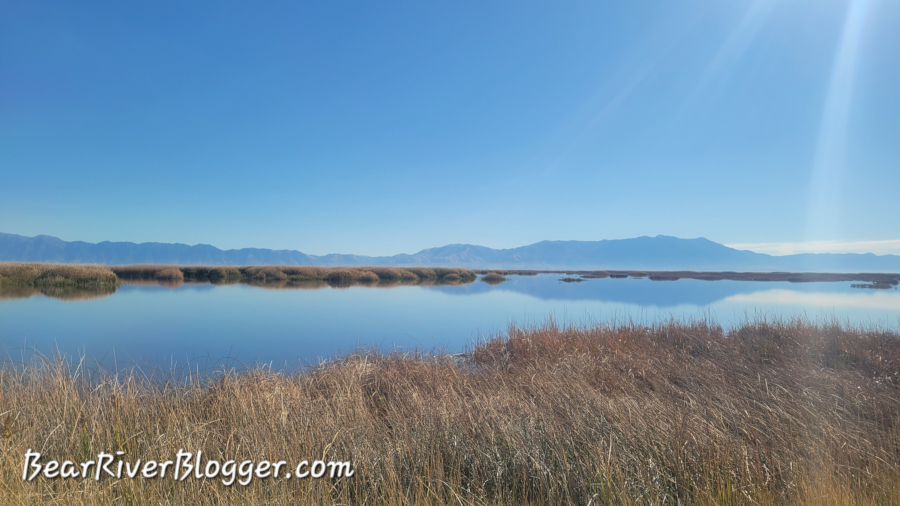 bear river migratory bird refuge with water in it