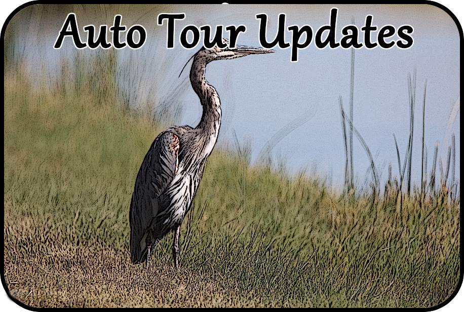 auto tour update box