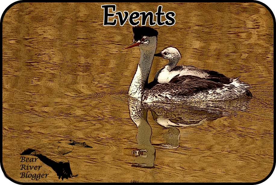 refuge events image