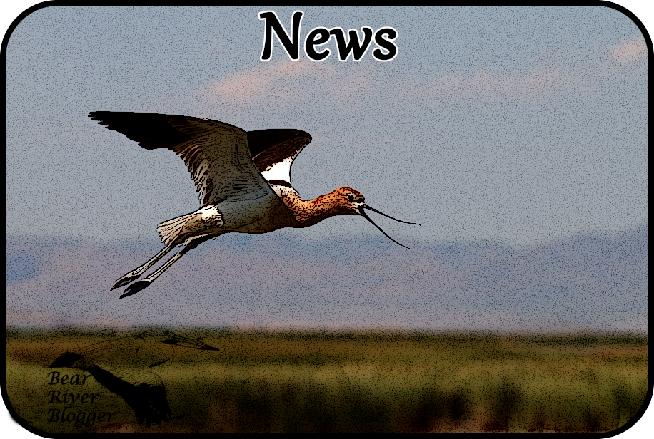 refuge news image