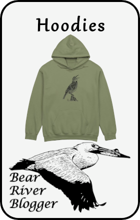 hoodies graphic