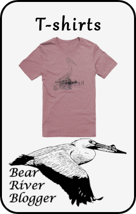 tshirt graphic