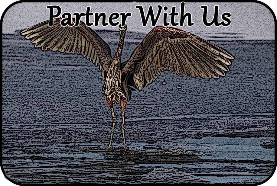 partner with us box ad