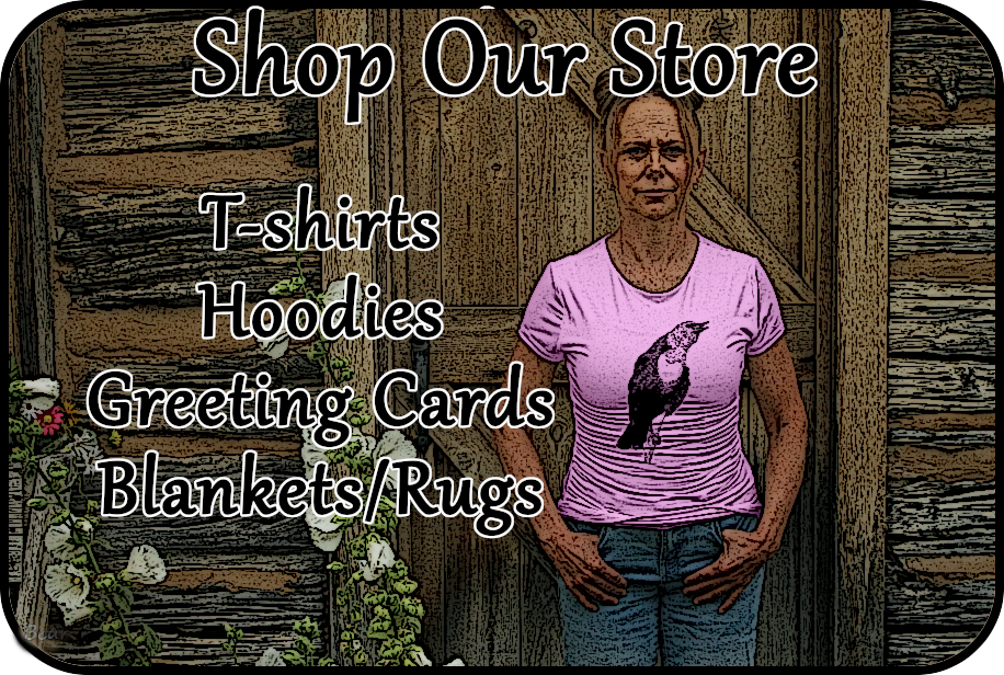 shop our store ad image